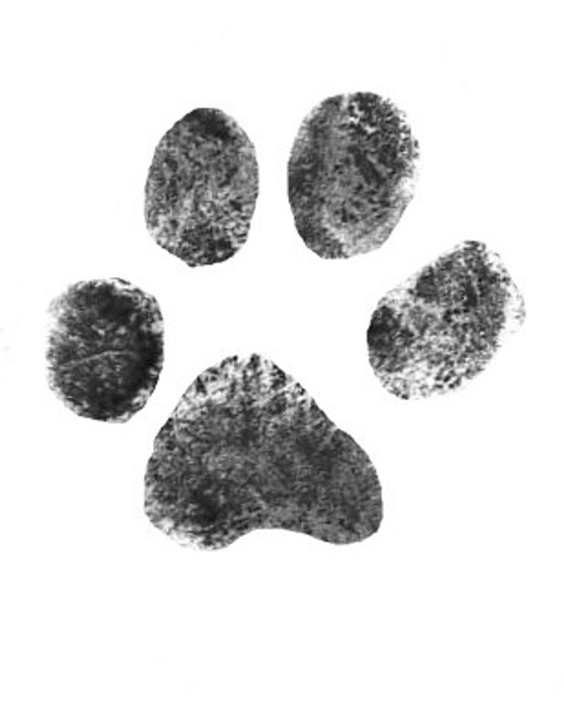 Minnie Whipple Profile Photo