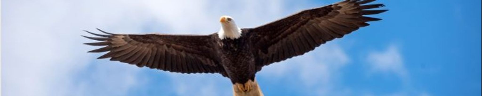 Cover photo for Ronald B Freed's Obituary