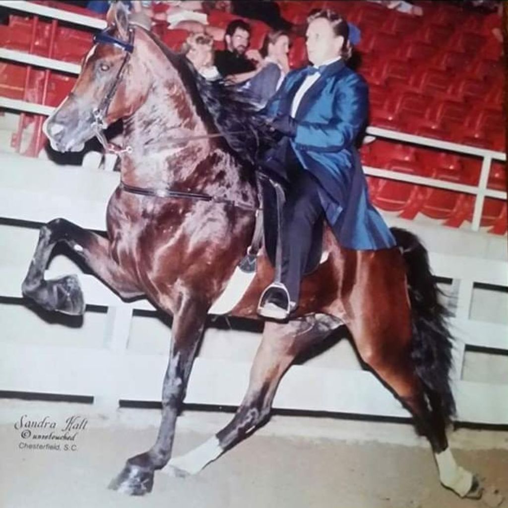 Julia Elizabeth (Allen)  Brooks