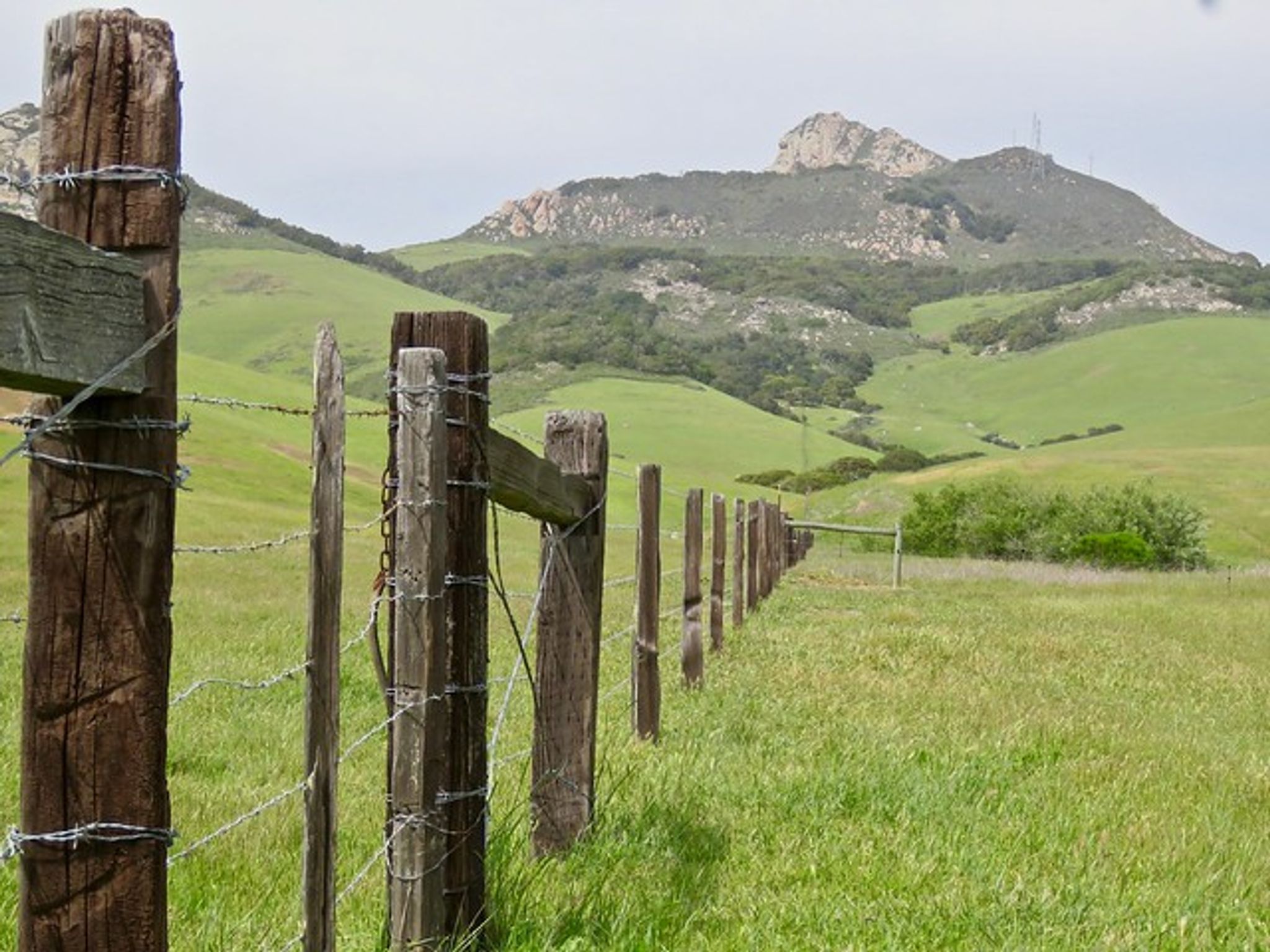 Cover photo for Casimiro Martinez's Obituary