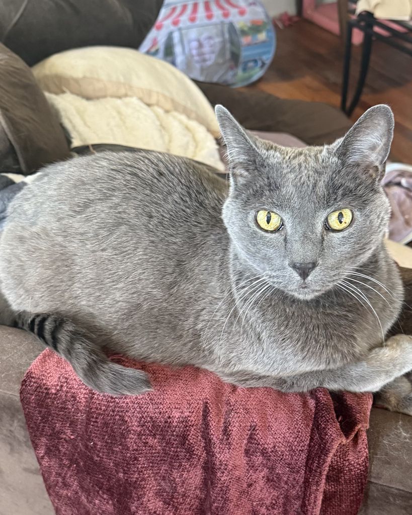 Mouse Haynes Profile Photo