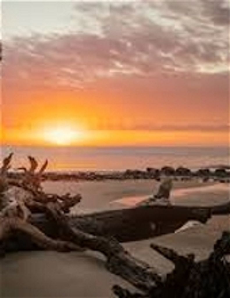 Richard Francis Pare