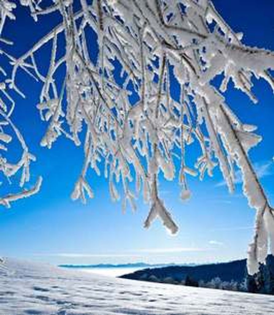 Joan Wermager Profile Photo