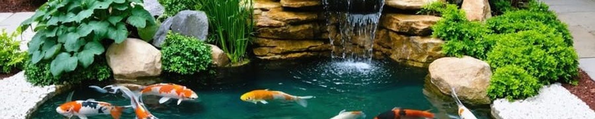 Cover for Edward Young's Obituary