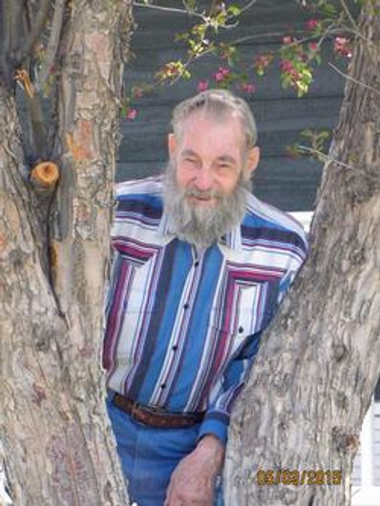 Bill Sharkey Profile Photo