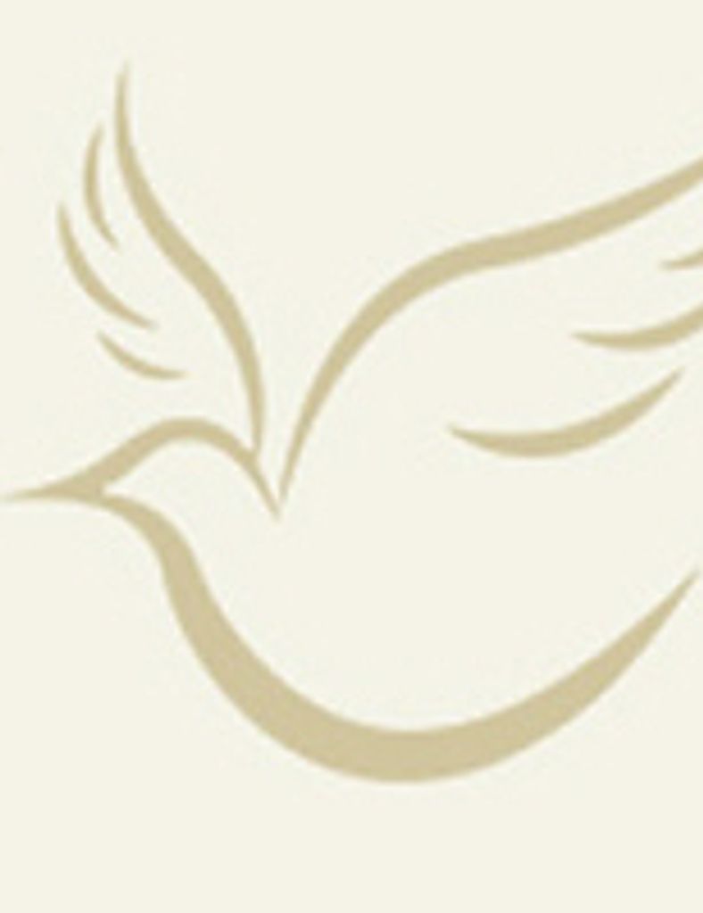 Amelia Pedroso Profile Photo