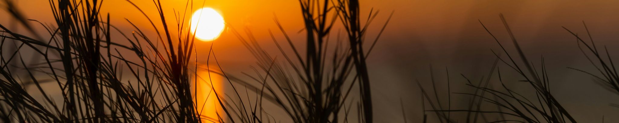Cover photo for Katherine Michael Lewis's Obituary