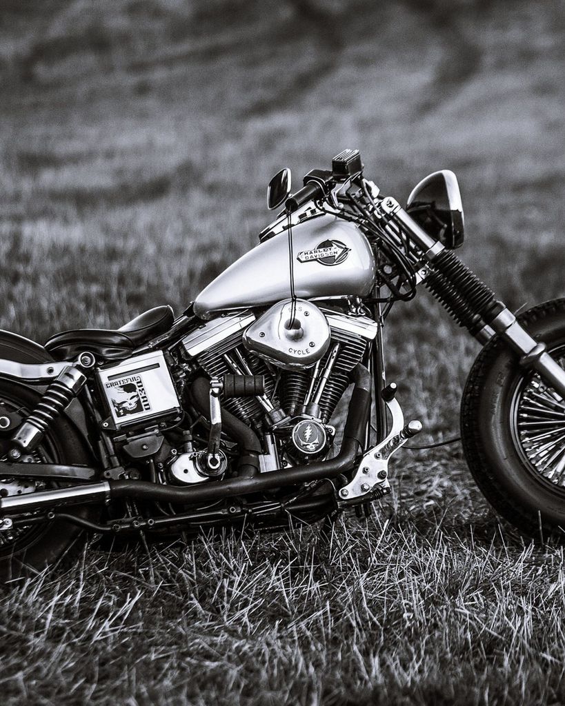 Jessie Hayes Hamrick Profile Photo