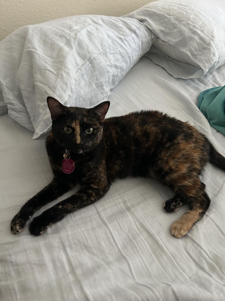 Reese Profile Photo