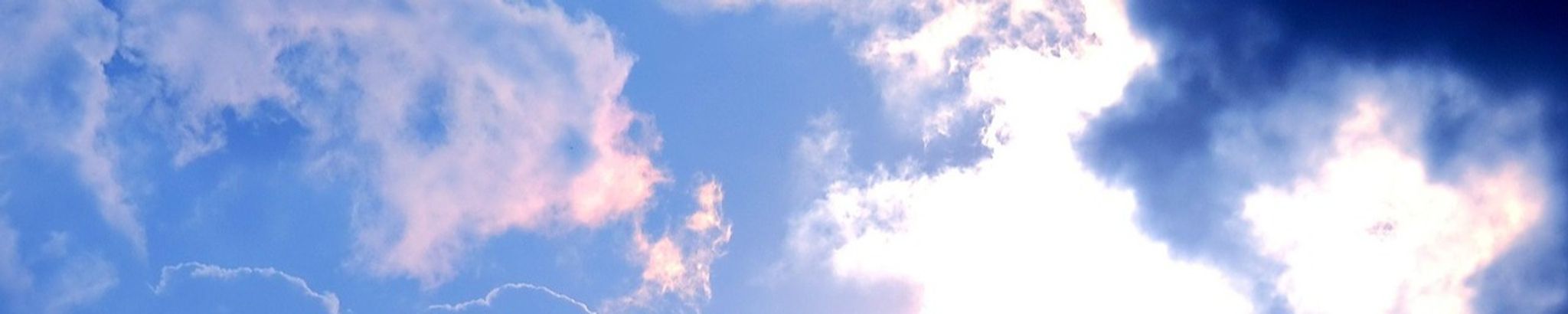 Cover for Frank Szczepanski's Obituary