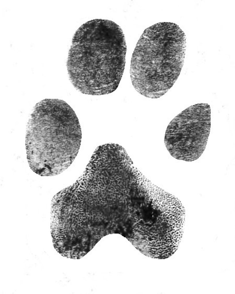 Oliver Auldredge Profile Photo