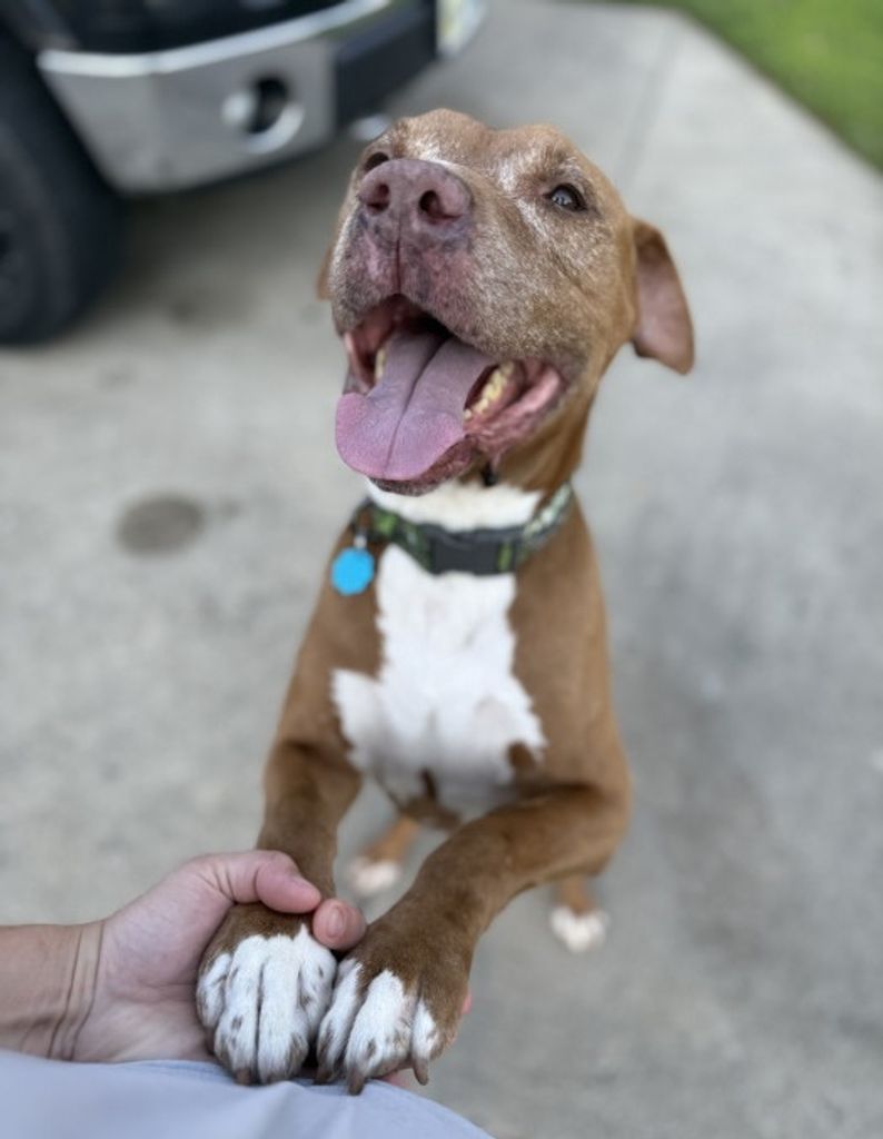 Bradley “Brad” Reel