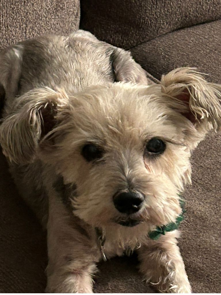 Shelbie Profile Photo