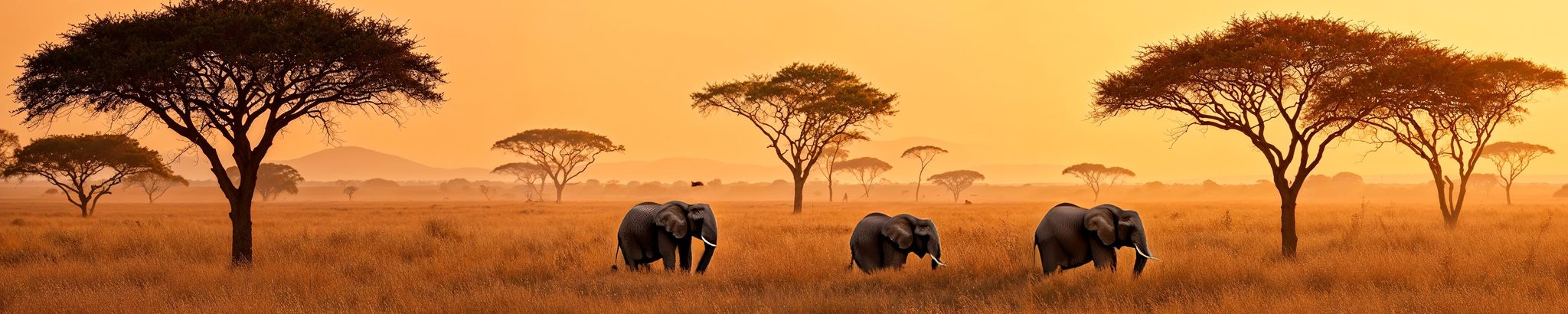 Cover for Eleonore Clagg's Obituary