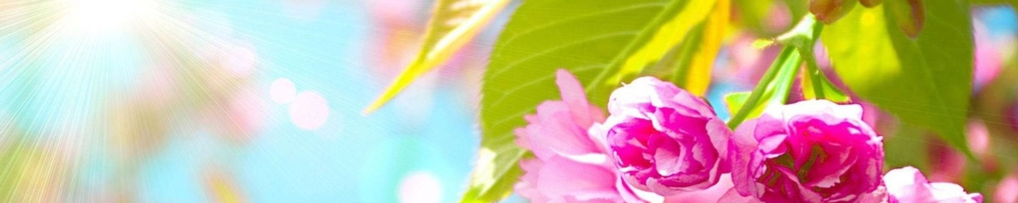 Cover photo for Lois McClaugherty's Obituary