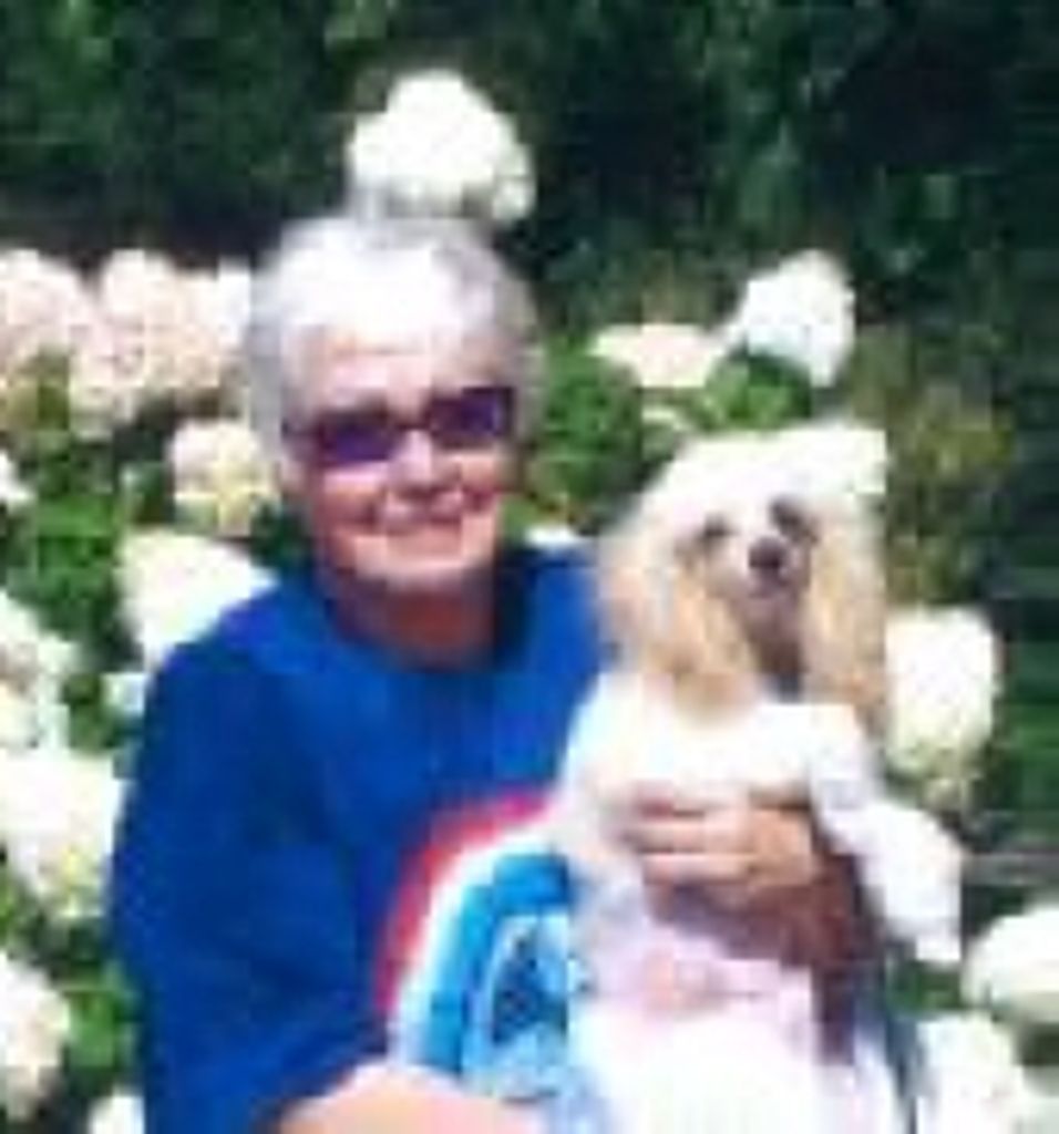 Lynda Lee