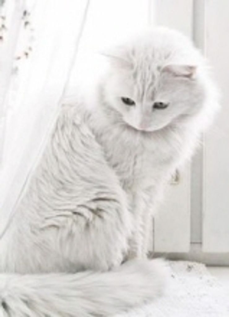 Emmie Redmon Profile Photo