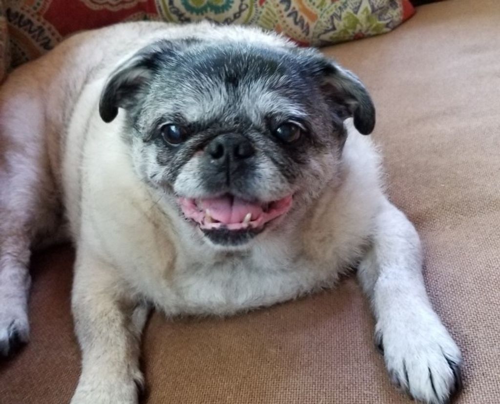 Lulu Tucker