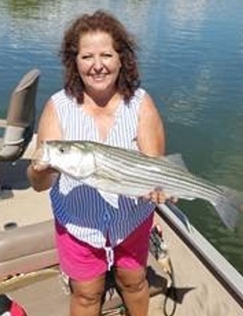 Ann Marie Stevens Profile Photo