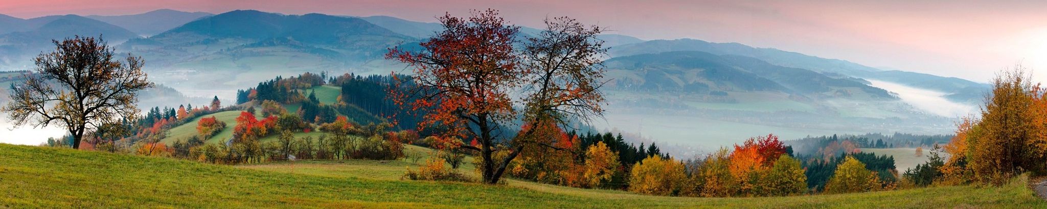 Cover for Randell Scott Case's Obituary