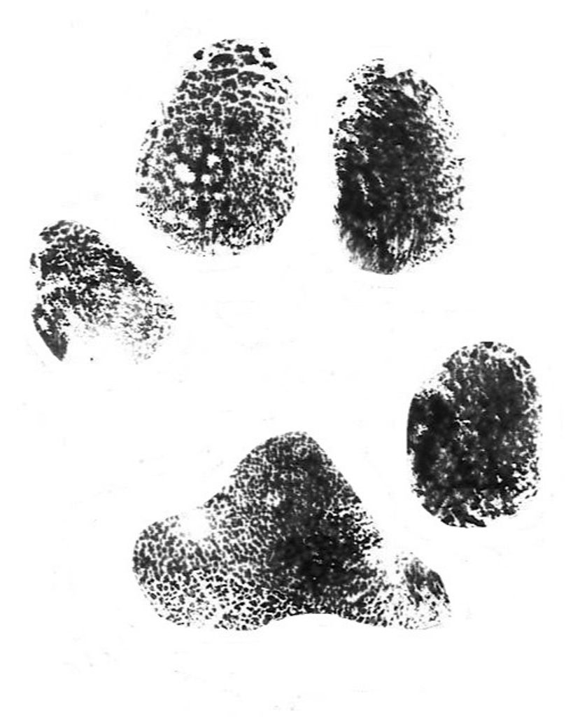 Sophie Aldridge Profile Photo