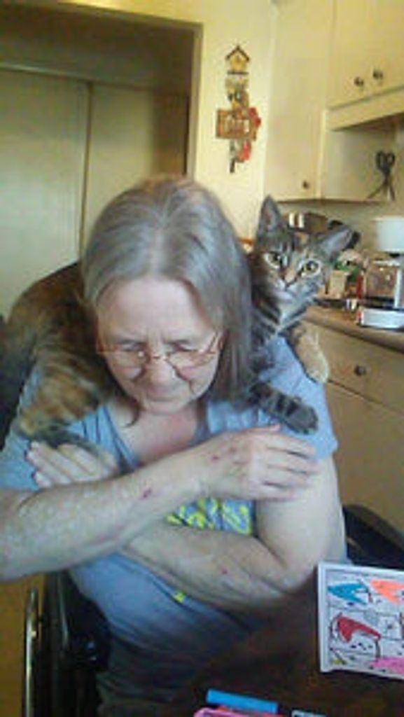 Marlene R. Harvey Profile Photo