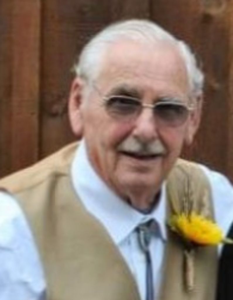 Robert Auer