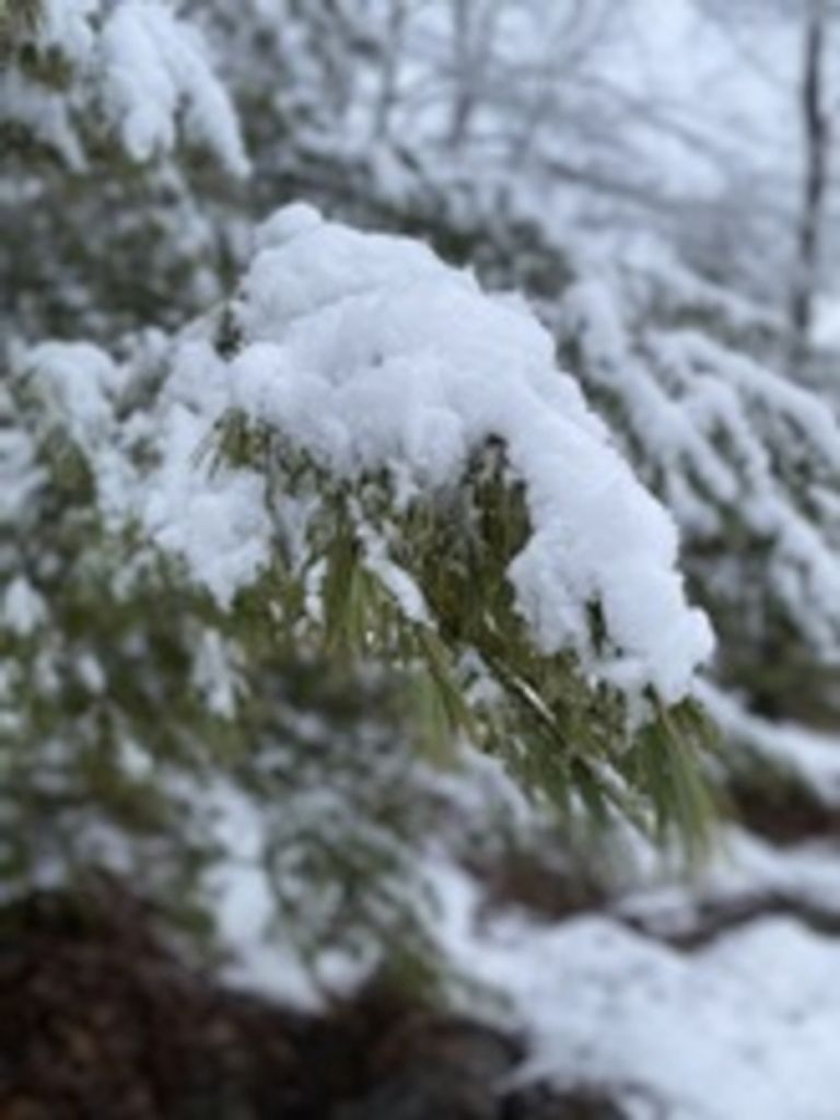 Charles A. Diehl Profile Photo