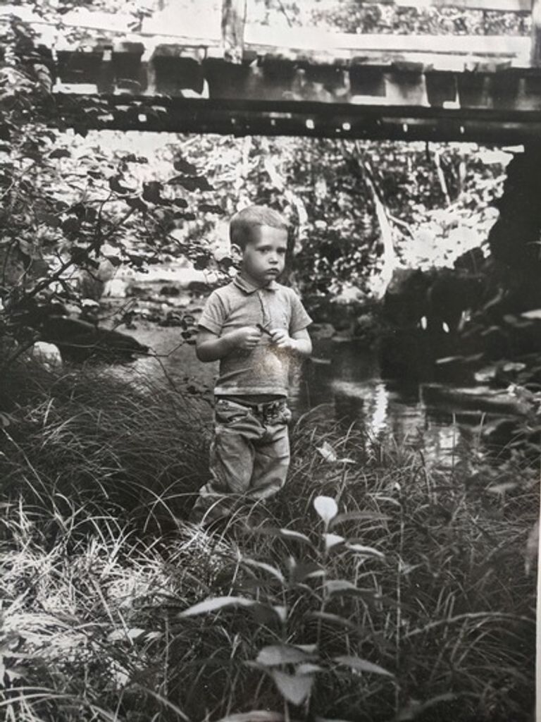 Peter Doran Walton Profile Photo