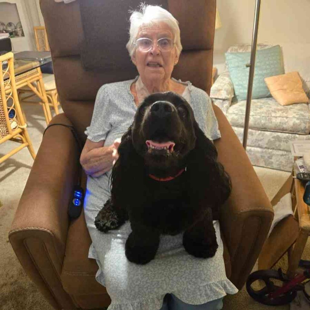 Patricia Pavloski Profile Photo