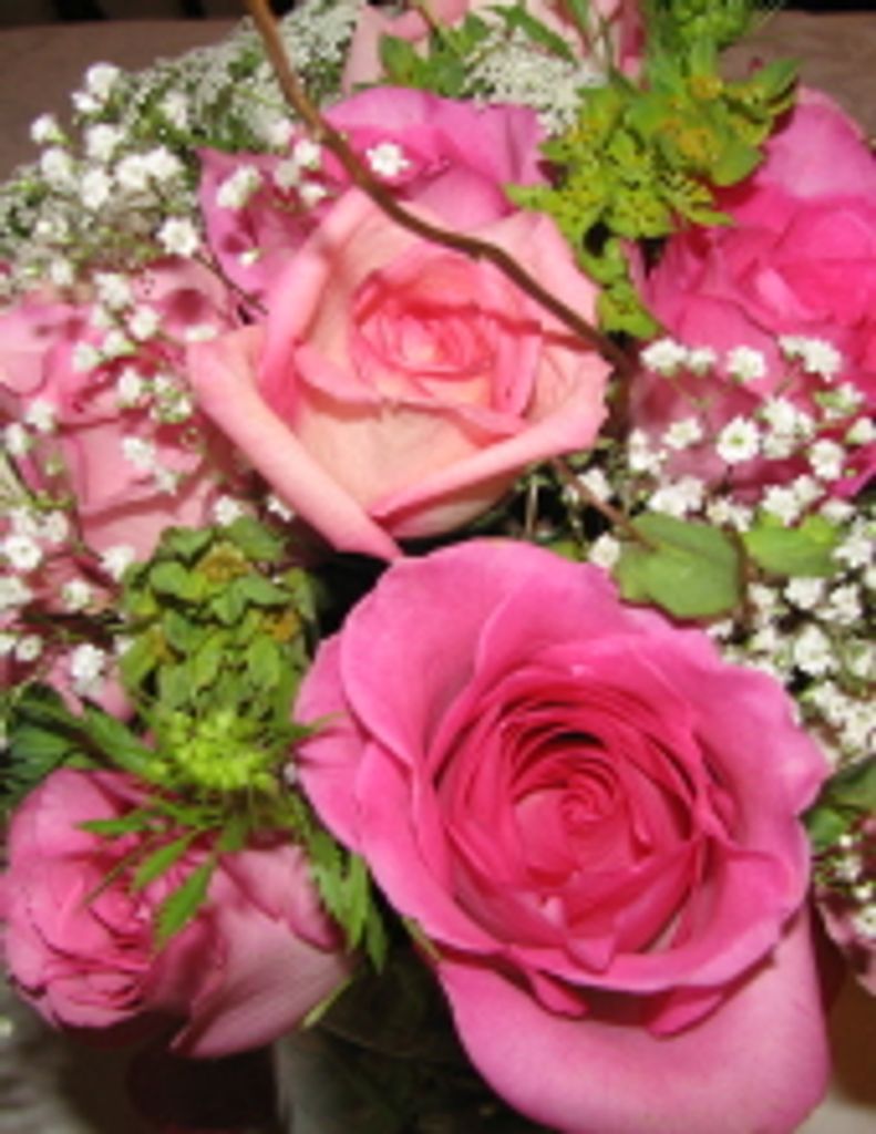 Elizabeth "Bette"  Rose Wilsey