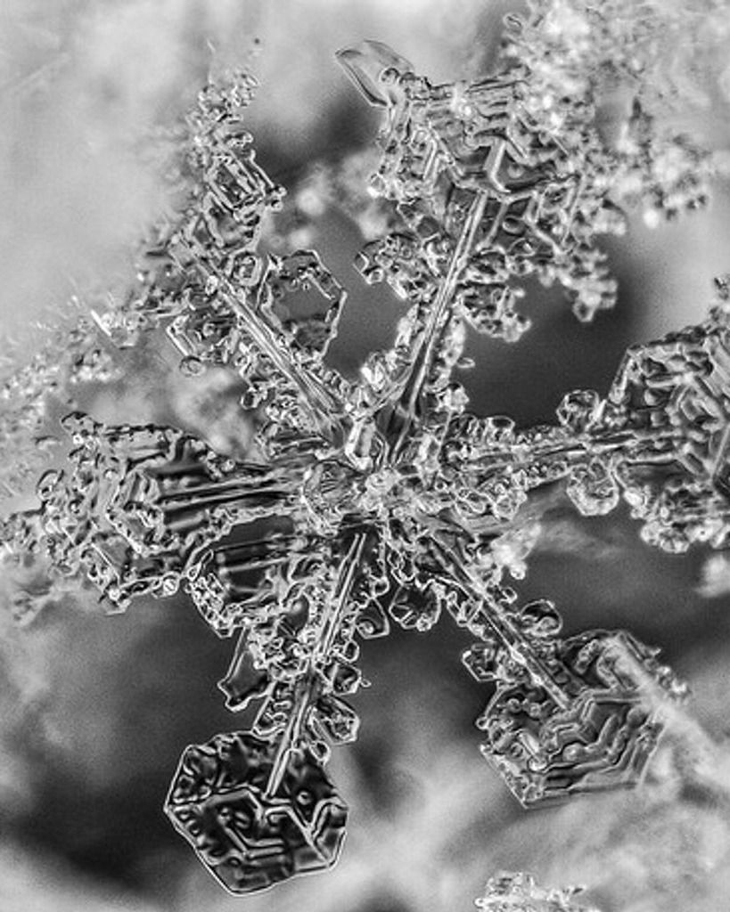 Alfonza Lee Smith Profile Photo