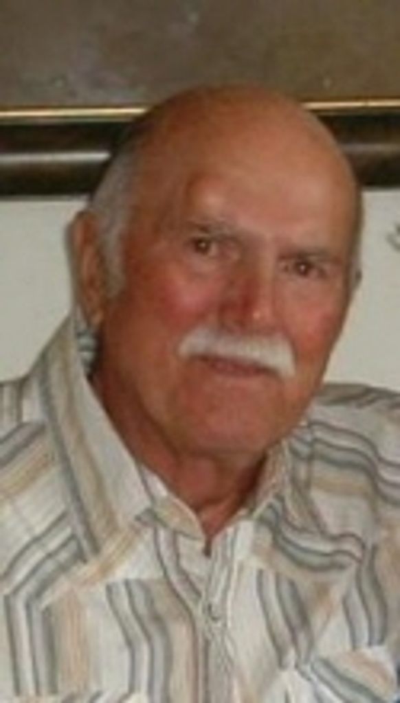 Norbert F. Strauss
