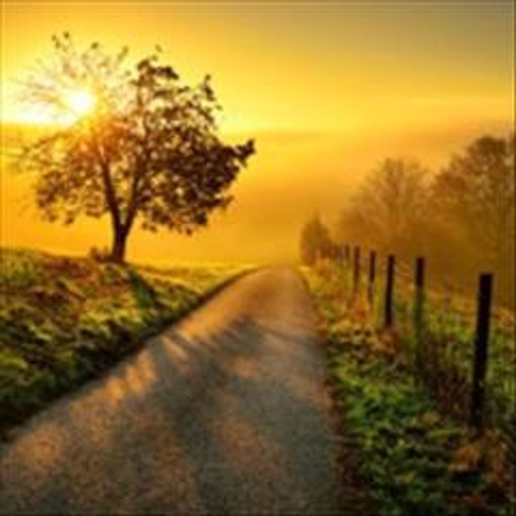 Walter "Walt" Edwin Sabourin, Jr. Profile Photo