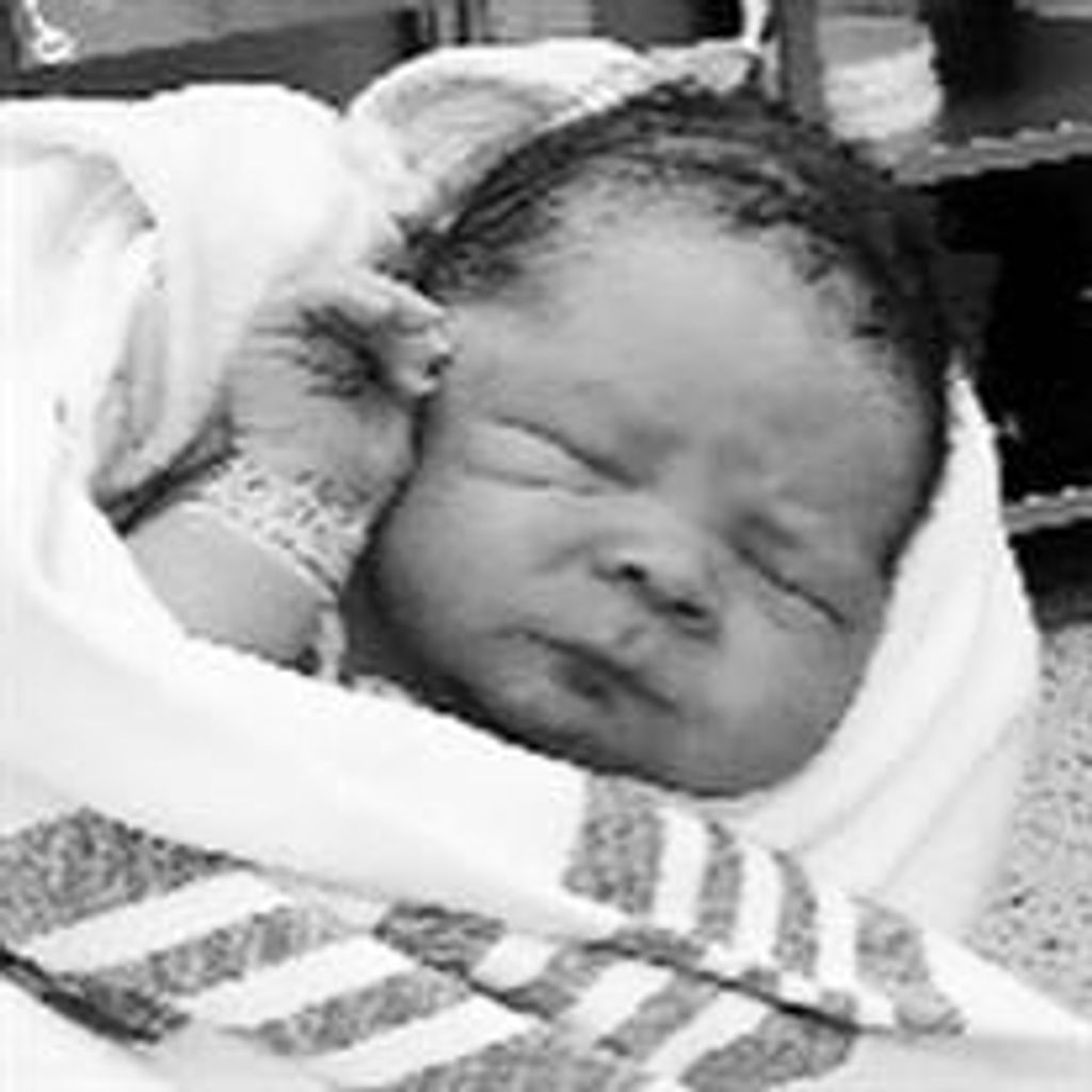 Brody Alexandar Dietrich