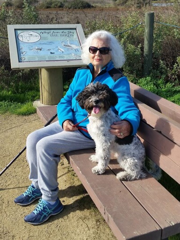 Anita Ruth Ambrosio Profile Photo