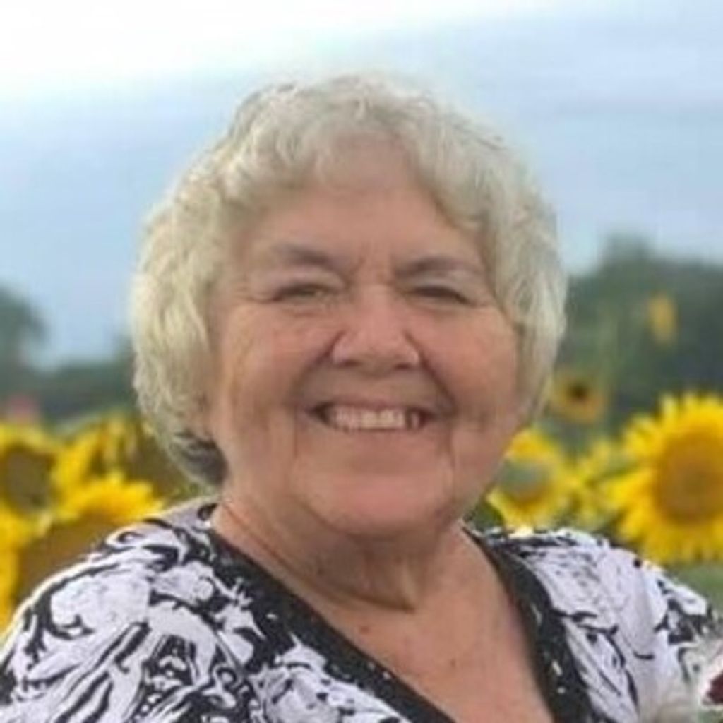 Judy L Donnal Profile Photo