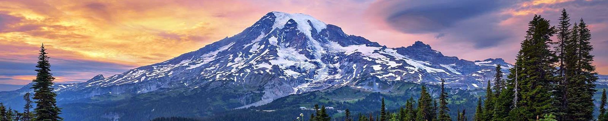 Cover for Janice Curtis's Obituary