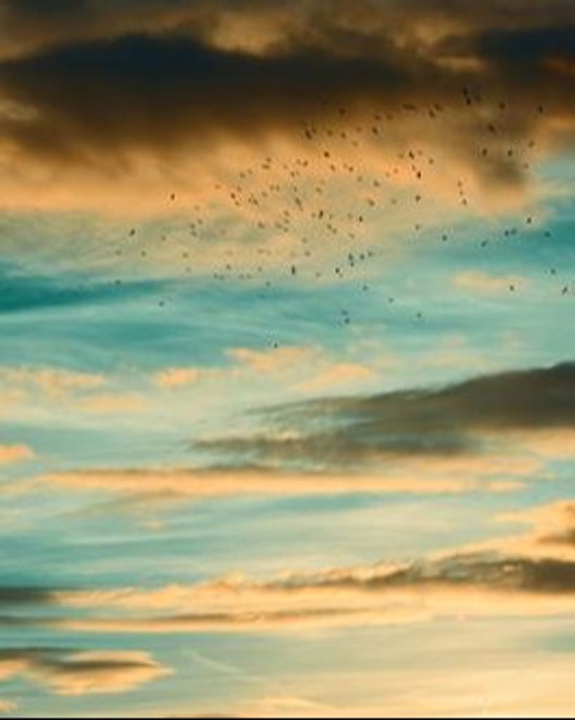 Randy Roberts Profile Photo