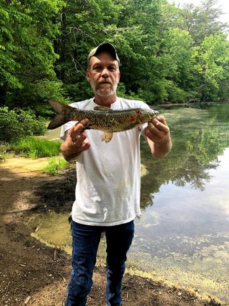 Wendell Fred Peebles