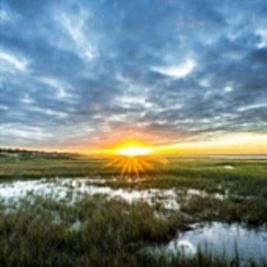 Edward Paul Miller Ii