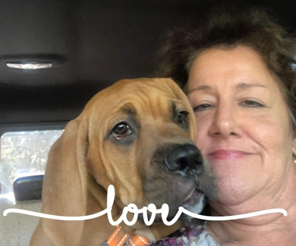 Rose Ann Ferraro Clements