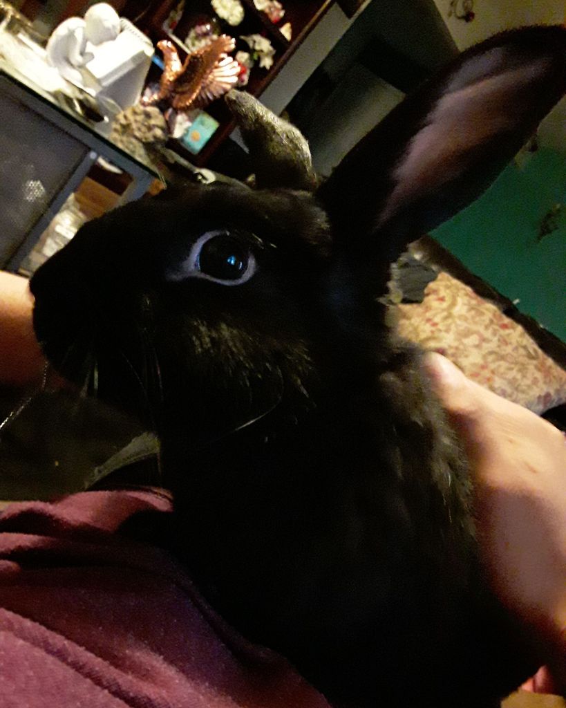 Miffy Avila Barajas Profile Photo