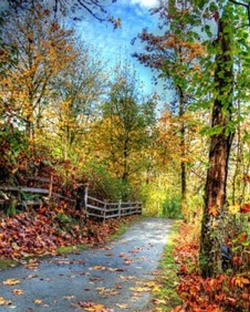 William "Bill" Joseph Denault Profile Photo