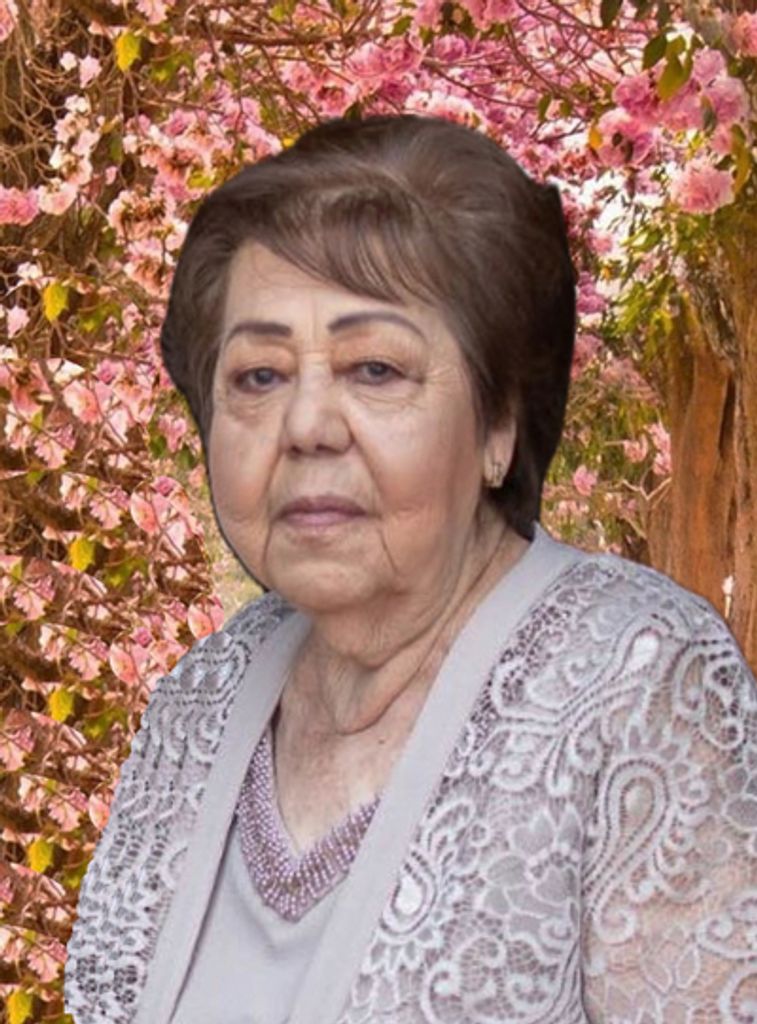 Juana Cobian Solis Profile Photo