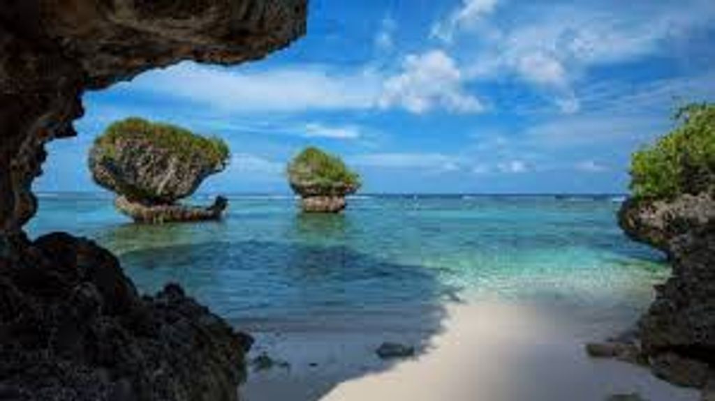 Victor Acfalle Manibusan