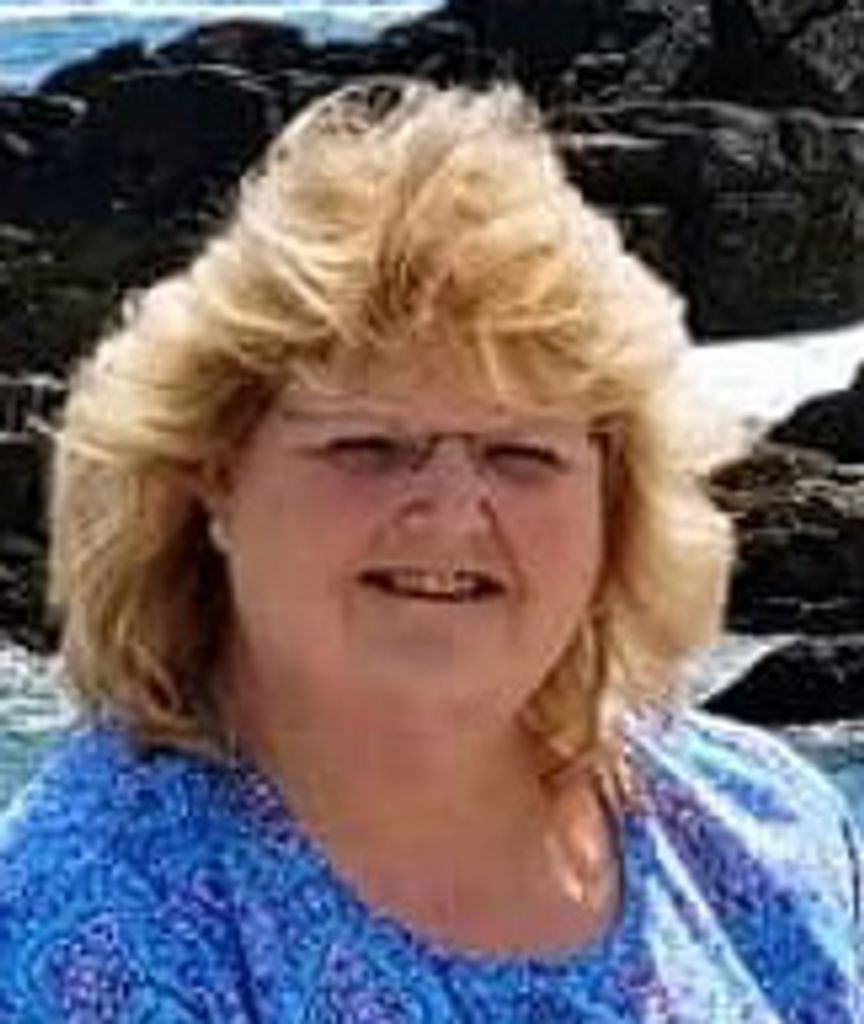 Teri Sue Lavin Profile Photo