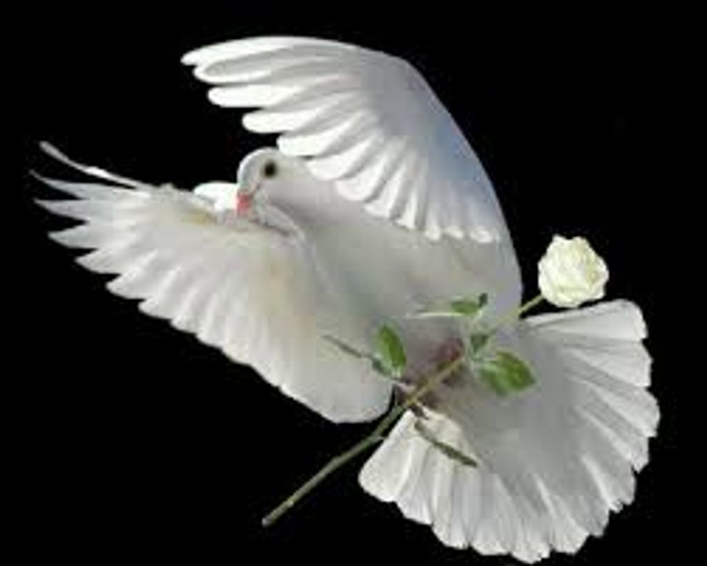 Katherine R. Yaws 56