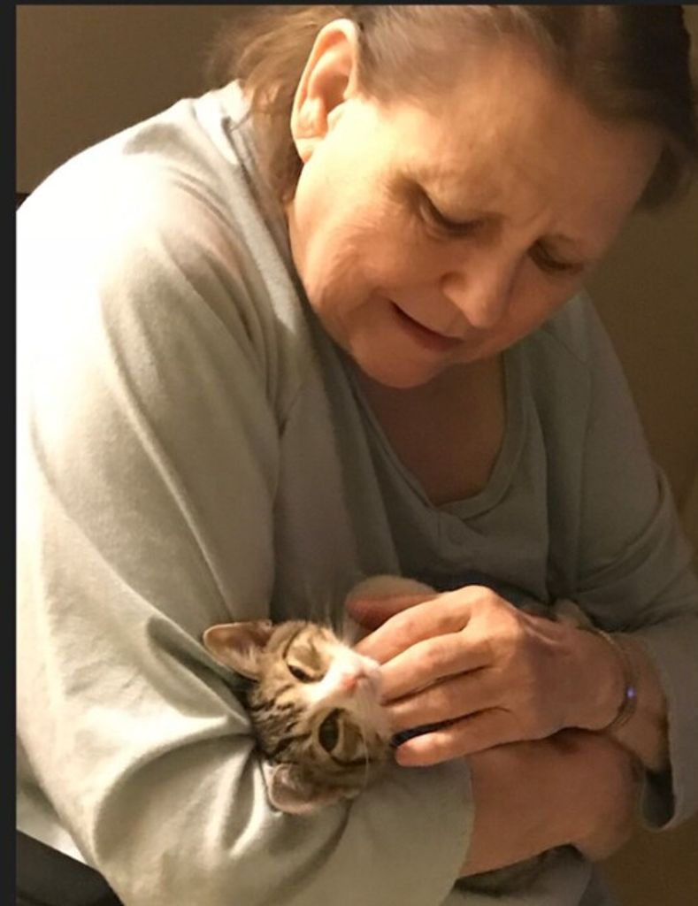 Coleen Gitner Profile Photo