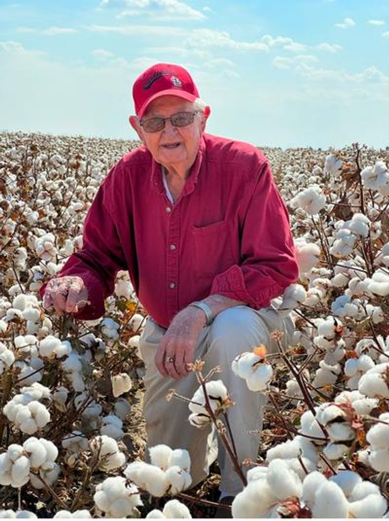 W K Windham Profile Photo